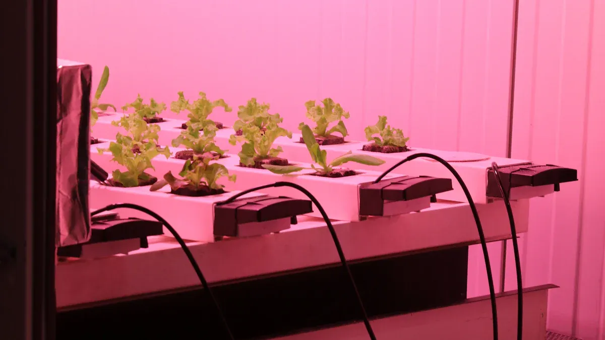 উল্লম্ব গ্রো লাইট সত্যিই আপনার গাছপালা ভাল বৃদ্ধি সাহায্য করতে পারেন